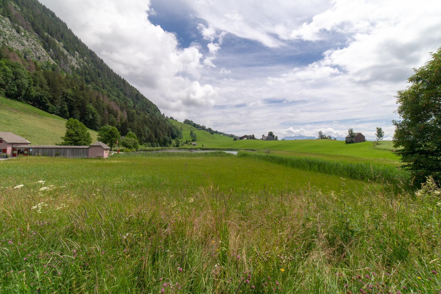 Wiesel Wildhaus Buitenkant foto