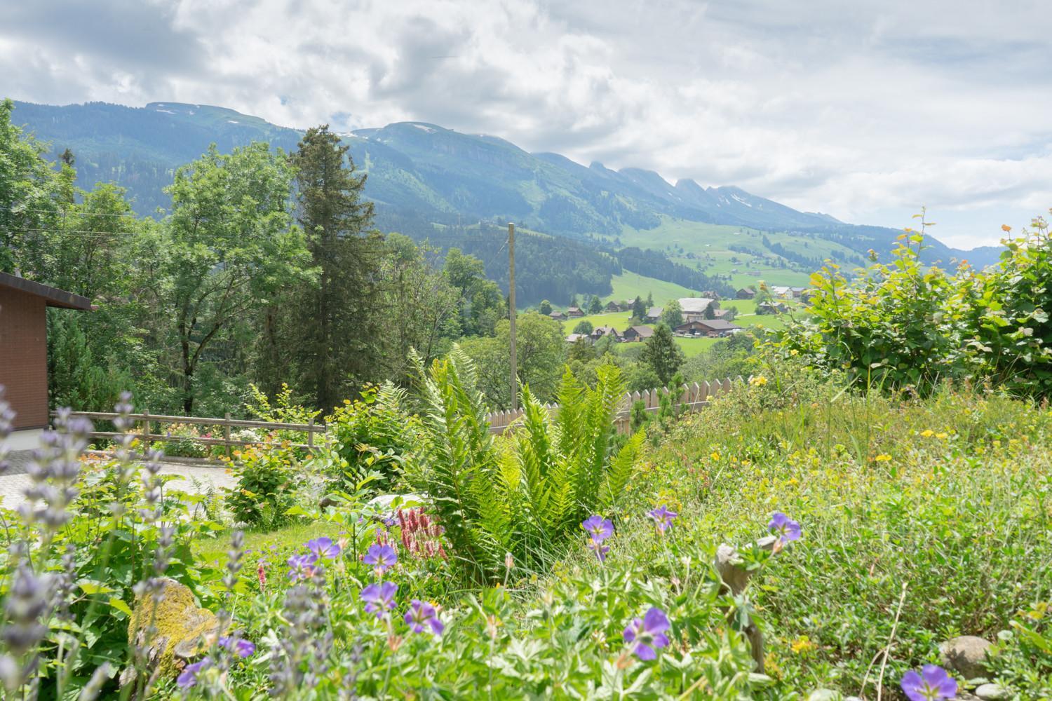 Wiesel Wildhaus Buitenkant foto